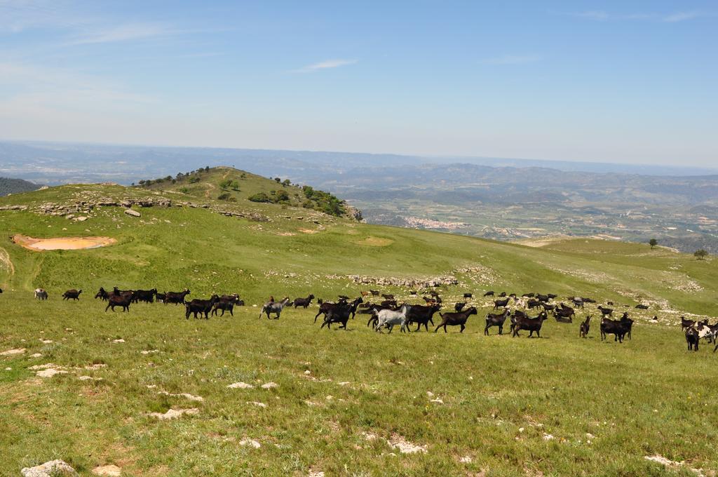 Aire De Colldejou Hotel Kültér fotó